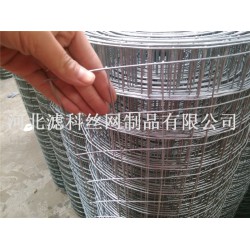 全球領(lǐng)導(dǎo)品牌¤廠家濾科供應(yīng)優(yōu)質(zhì)不銹鋼鋼筋電焊網(wǎng)，價格也不