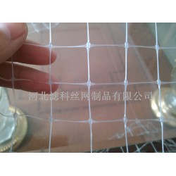 人氣新品，誠意來襲★雙向拉伸塑料網(wǎng)