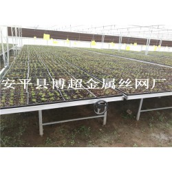 河北全新移動苗床，大棚育苗床