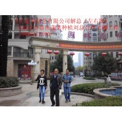 濰坊哪里有提供蔬菜大棚建造，蔬菜大棚