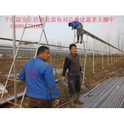 濰坊可靠的蔬菜大棚建造公司，當屬千匯溫室，蔬菜大棚建造