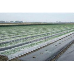 想買品牌好的除草地膜，就到開元塑料   ——山東地膜