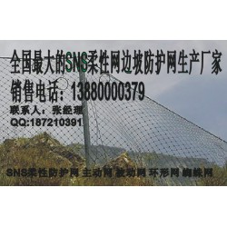 遂寧被動網(wǎng)，新款被動防護網(wǎng)成都有售