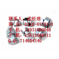 昆明熱鍍鋅鐵塔螺栓廠(chǎng)家報(bào)價(jià) 山西熱鍍鋅鐵塔螺栓 豐實(shí)