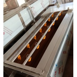 黃桃清洗機(jī)，黃桃罐頭加工全套設(shè)備