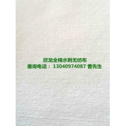 廠(chǎng)家直供全棉水刺無(wú)紡布-平紋