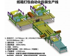 紙箱自動(dòng)化包裝流水線設(shè)備包裝生產(chǎn)線定制
