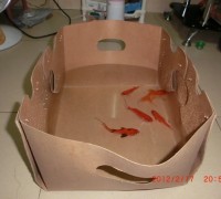 圳鴻防潮展示盒、防水魚蝦盒