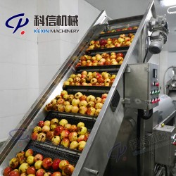 石榴酵素制作設備石榴果蔬酵素飲料生產(chǎn)線設備